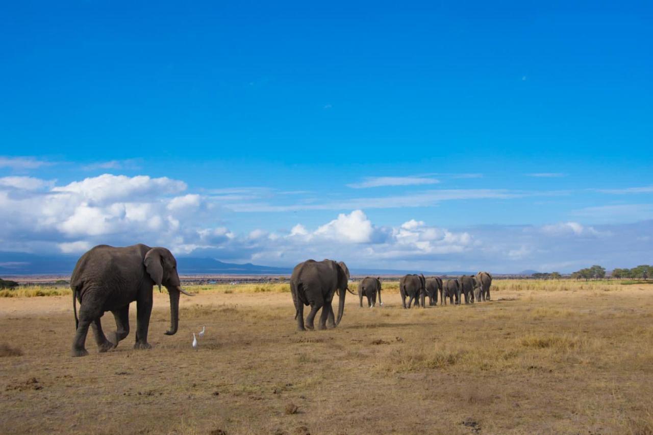 Amboseli Cultural Camping ภายนอก รูปภาพ