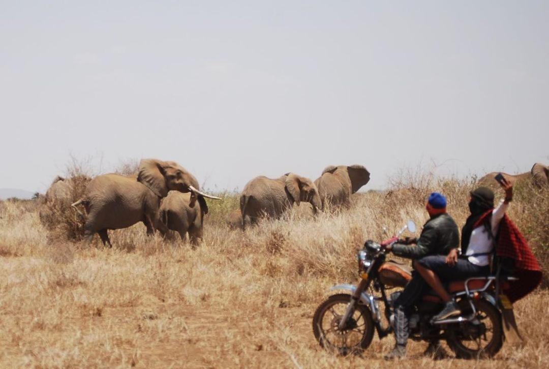 Amboseli Cultural Camping ภายนอก รูปภาพ