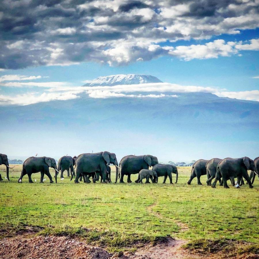 Amboseli Cultural Camping ภายนอก รูปภาพ