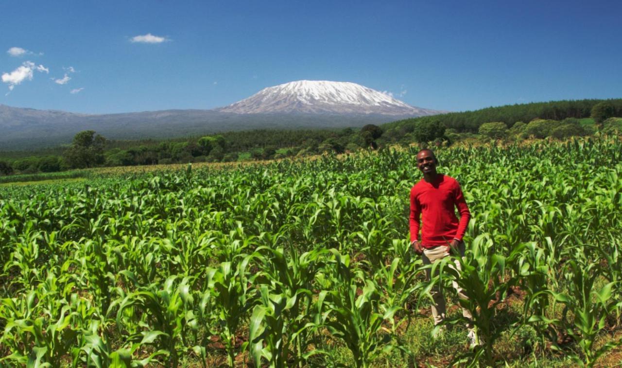 Amboseli Cultural Camping ภายนอก รูปภาพ