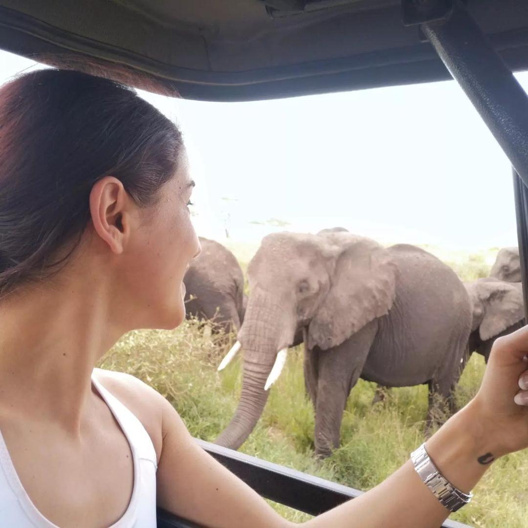 Amboseli Cultural Camping ภายนอก รูปภาพ