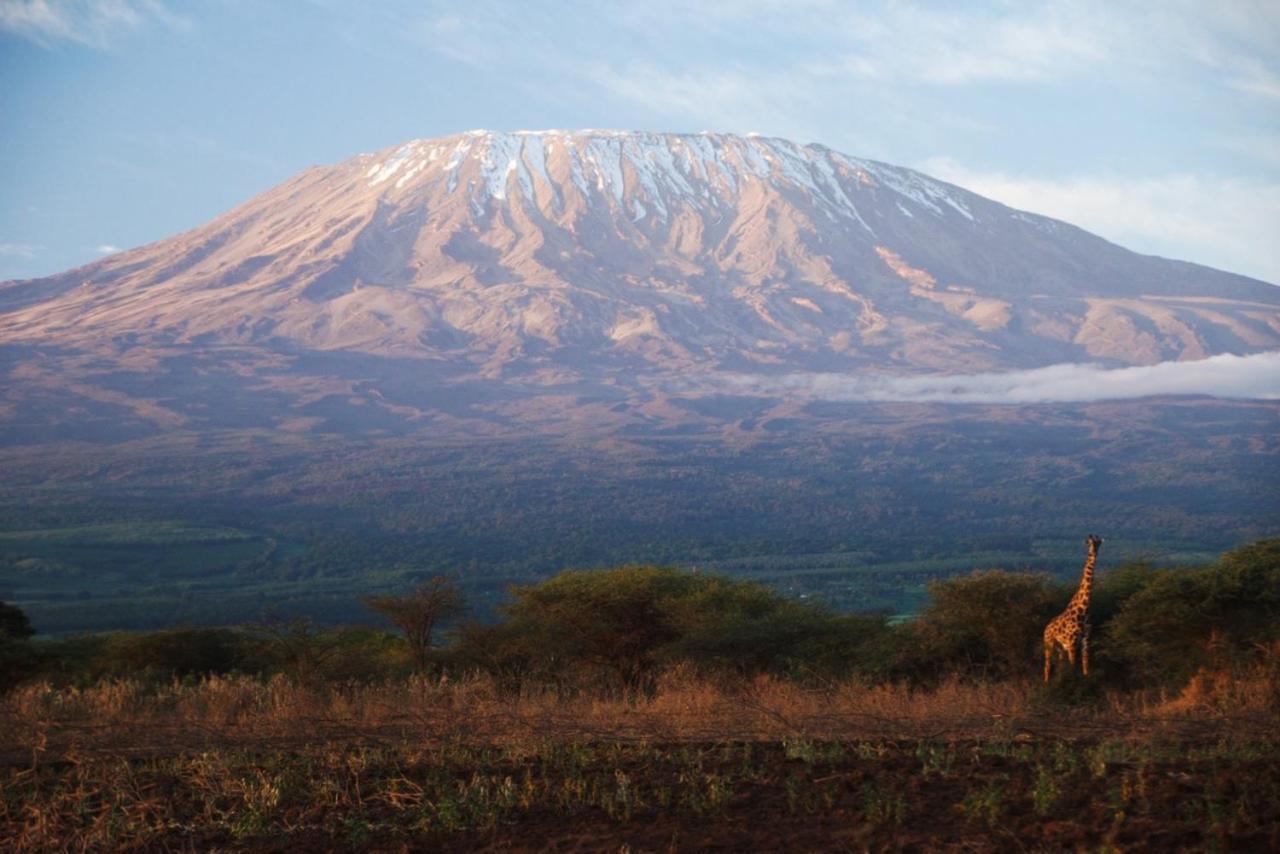 Amboseli Cultural Camping ภายนอก รูปภาพ